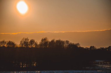 Güzel kış manzarası, bulutlu gün batımı, uzaktaki orman, kardaki tarla ve ağaçlar, dondurucu güneşli bir akşam, Ukrayna