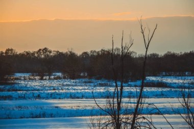 Güzel kış manzarası, bulutlu gün batımı, uzaktaki orman, kardaki tarla ve ağaçlar, dondurucu güneşli bir akşam, Ukrayna