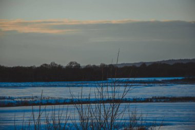 Güzel kış manzarası, bulutlu gün batımı, uzaktaki orman, kardaki tarla ve ağaçlar, dondurucu güneşli bir akşam, Ukrayna