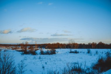 Güzel kış manzarası, bulutlu gün batımı, uzaktaki orman, kardaki tarla ve ağaçlar, dondurucu güneşli bir akşam, Ukrayna