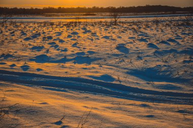 Güzel kış manzarası, bulutlu gün batımı, uzaktaki orman, kardaki tarla ve ağaçlar, dondurucu güneşli bir akşam, Ukrayna