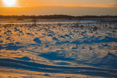 Güzel kış manzarası, bulutlu gün batımı, uzaktaki orman, kardaki tarla ve ağaçlar, dondurucu güneşli bir akşam, Ukrayna