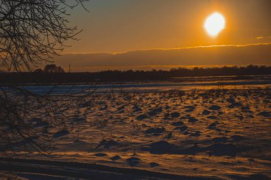 Güzel kış manzarası, bulutlu gün batımı, uzaktaki orman, kardaki tarla ve ağaçlar, dondurucu güneşli bir akşam, Ukrayna