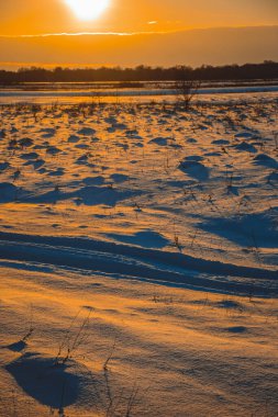 Güzel kış manzarası, bulutlu gün batımı, uzaktaki orman, kardaki tarla ve ağaçlar, dondurucu güneşli bir akşam, Ukrayna
