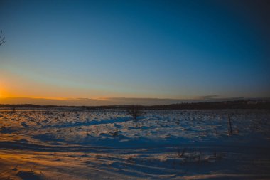 Güzel kış manzarası, bulutlu gün batımı, uzaktaki orman, kardaki tarla ve ağaçlar, dondurucu güneşli bir akşam, Ukrayna