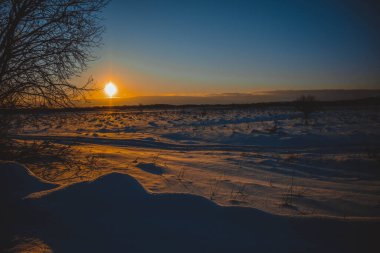 Güzel kış manzarası, bulutlu gün batımı, uzaktaki orman, kardaki tarla ve ağaçlar, dondurucu güneşli bir akşam, Ukrayna