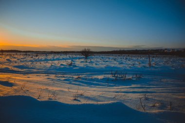 Güzel kış manzarası, bulutlu gün batımı, uzaktaki orman, kardaki tarla ve ağaçlar, dondurucu güneşli bir akşam, Ukrayna