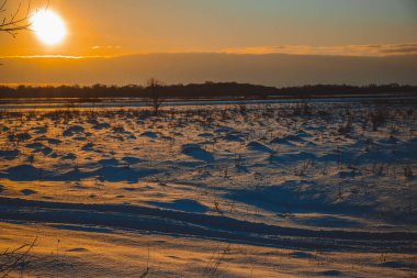 Güzel kış manzarası, bulutlu gün batımı, uzaktaki orman, kardaki tarla ve ağaçlar, dondurucu güneşli bir akşam, Ukrayna