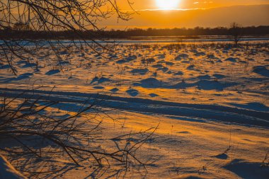 Güzel kış manzarası, bulutlu gün batımı, uzaktaki orman, kardaki tarla ve ağaçlar, dondurucu güneşli bir akşam, Ukrayna