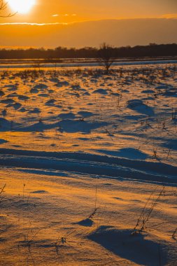 Güzel kış manzarası, bulutlu gün batımı, uzaktaki orman, kardaki tarla ve ağaçlar, dondurucu güneşli bir akşam, Ukrayna