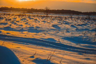 Güzel kış manzarası, bulutlu gün batımı, uzaktaki orman, kardaki tarla ve ağaçlar, dondurucu güneşli bir akşam, Ukrayna