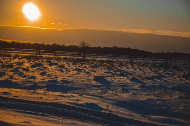 Güzel kış manzarası, bulutlu gün batımı, uzaktaki orman, kardaki tarla ve ağaçlar, dondurucu güneşli bir akşam, Ukrayna
