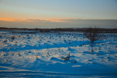 Güzel kış manzarası, bulutlu gün batımı, uzaktaki orman, kardaki tarla ve ağaçlar, dondurucu güneşli bir akşam, Ukrayna