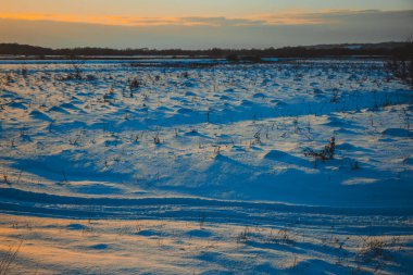 Güzel kış manzarası, bulutlu gün batımı, uzaktaki orman, kardaki tarla ve ağaçlar, dondurucu güneşli bir akşam, Ukrayna