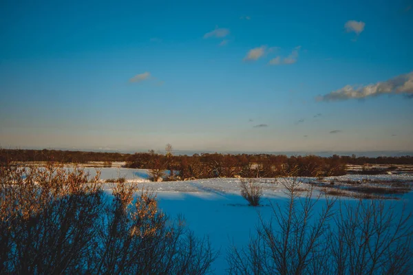 Bellissimo Paesaggio Invernale Tramonto Con Nuvole Foresta Lontananza Campo Alberi — Foto Stock