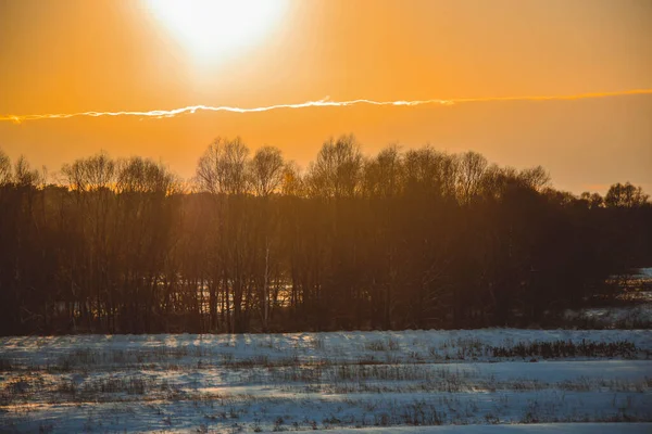 Bela Paisagem Inverno Pôr Sol Com Nuvens Floresta Distância Campo — Fotografia de Stock
