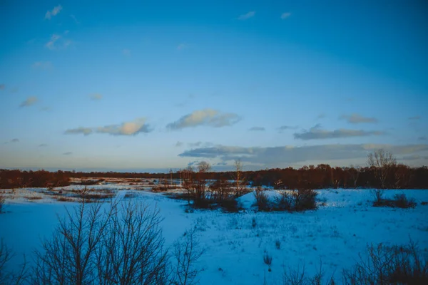 Красивый Зимний Пейзаж Закат Облаками Лес Вдали Поле Деревья Снегу — стоковое фото