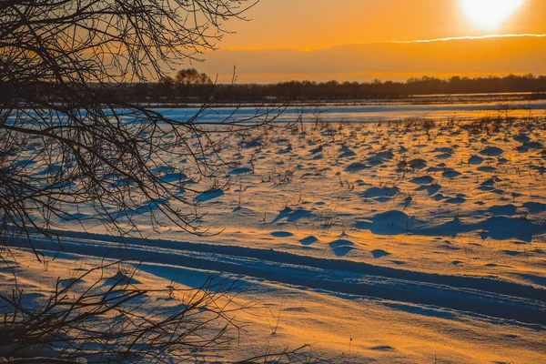 Güzel kış manzarası, bulutlu gün batımı, uzaktaki orman, kardaki tarla ve ağaçlar, dondurucu güneşli bir akşam, Ukrayna