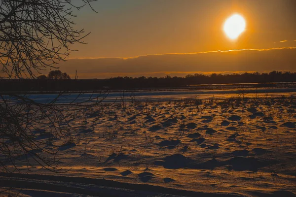 Güzel kış manzarası, bulutlu gün batımı, uzaktaki orman, kardaki tarla ve ağaçlar, dondurucu güneşli bir akşam, Ukrayna