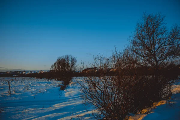 美しい冬の風景 雲と日没 遠くの森 雪の中のフィールドと木 霜の晴れた夜 ウクライナ — ストック写真