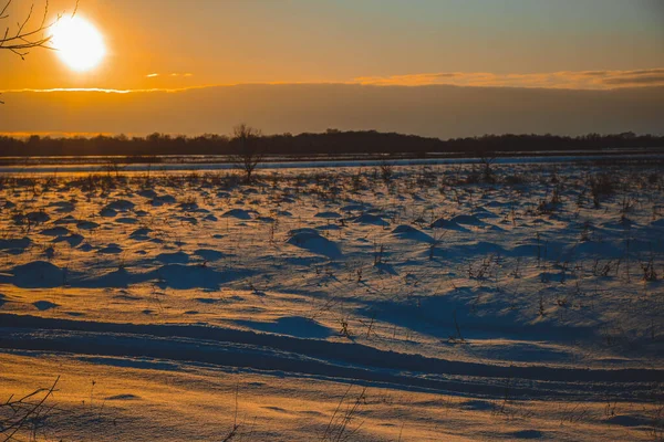 Güzel kış manzarası, bulutlu gün batımı, uzaktaki orman, kardaki tarla ve ağaçlar, dondurucu güneşli bir akşam, Ukrayna