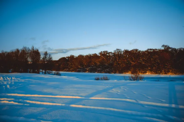 美丽的冬季风景 日落时分的云彩 远处的森林 田野里的树木 雪地里的树木 寒冷的阳光明媚的夜晚 乌克兰 — 图库照片