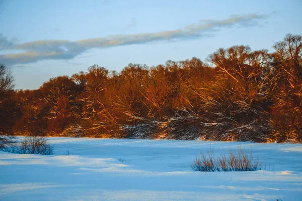 Bellissimo Paesaggio Invernale Tramonto Con Nuvole Foresta Lontananza Campo Alberi — Foto Stock