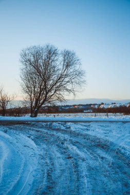 Güzel kış manzarası, bulutlu gün batımı, uzaktaki orman, kardaki tarla ve ağaçlar, dondurucu güneşli bir akşam, Ukrayna