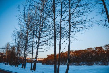 Güzel kış manzarası, bulutlu gün batımı, uzaktaki orman, kardaki tarla ve ağaçlar, dondurucu güneşli bir akşam, Ukrayna