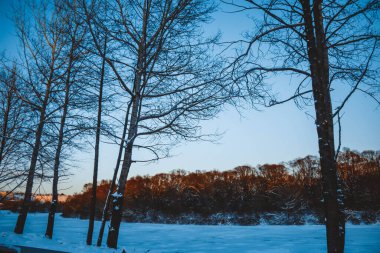 Güzel kış manzarası, bulutlu gün batımı, uzaktaki orman, kardaki tarla ve ağaçlar, dondurucu güneşli bir akşam, Ukrayna