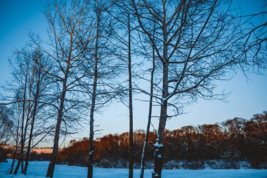 Güzel kış manzarası, bulutlu gün batımı, uzaktaki orman, kardaki tarla ve ağaçlar, dondurucu güneşli bir akşam, Ukrayna