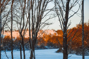 Güzel kış manzarası, bulutlu gün batımı, uzaktaki orman, kardaki tarla ve ağaçlar, dondurucu güneşli bir akşam, Ukrayna