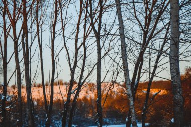 Güzel kış manzarası, bulutlu gün batımı, uzaktaki orman, kardaki tarla ve ağaçlar, dondurucu güneşli bir akşam, Ukrayna