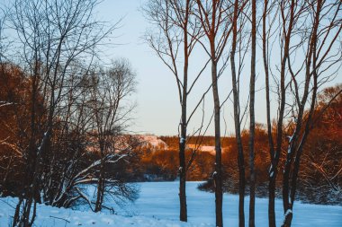 Güzel kış manzarası, bulutlu gün batımı, uzaktaki orman, kardaki tarla ve ağaçlar, dondurucu güneşli bir akşam, Ukrayna