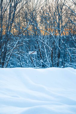 Güzel kış manzarası, bulutlu gün batımı, uzaktaki orman, kardaki tarla ve ağaçlar, dondurucu güneşli bir akşam, Ukrayna
