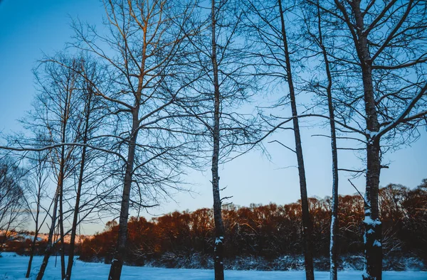 Bela Paisagem Inverno Pôr Sol Com Nuvens Floresta Distância Campo — Fotografia de Stock