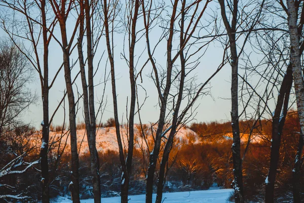 Bellissimo Paesaggio Invernale Tramonto Con Nuvole Foresta Lontananza Campo Alberi — Foto Stock