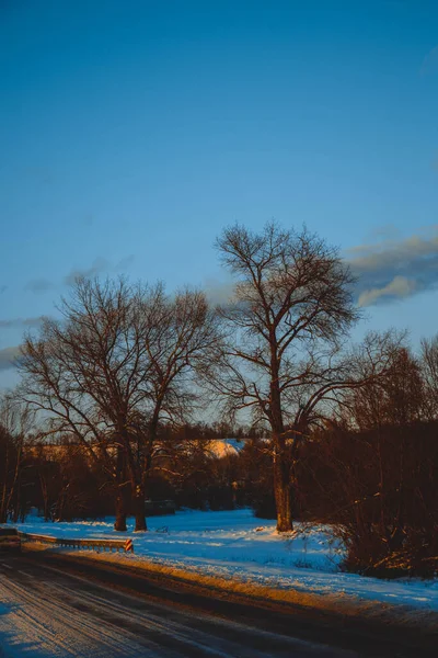 Bela Paisagem Inverno Estrada Branca Entre Árvores Céu Azul Com — Fotografia de Stock