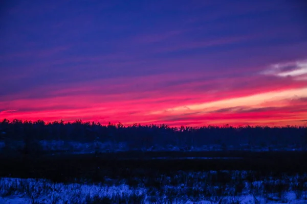 Paisaje Invierno Atardecer Con Árboles Carretera Puesta Sol Invierno Rojo —  Fotos de Stock