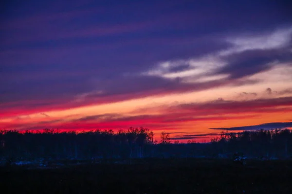 Winterliche Sonnenuntergangslandschaft Mit Bäumen Und Feldweg Leuchtend Roter Wintersonnenuntergang Wolkenstreifen — Stockfoto