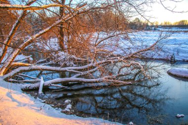 Karlı kıyıları olan bir nehre kar yağıyor. Suyun üzerinde ağaç dalları, güneşli bir günde ağaçlar karla kaplı. Ukrayna Shostka, Shostka nehri, Sunset.