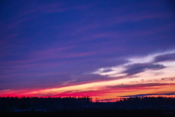 木々やフィールド道路と冬の夕日の風景 鮮やかな赤い冬の夕日雲の縞模様木々のシルエット — ストック写真