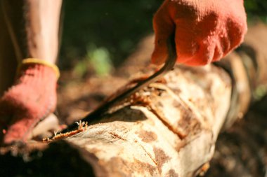 Bir marangozun elleri dikili ahşap, el aletleri torna, güzel güçlü erkek elleri, güneşli bir günde eski meşe kütüğünü işliyor.