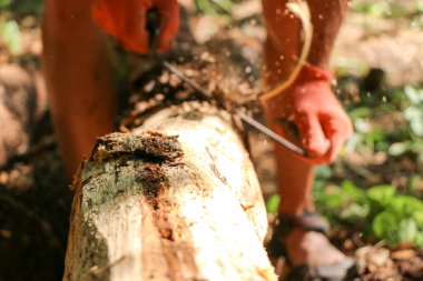 Bir marangozun elleri dikili ahşap, el aletleri torna, güzel güçlü erkek elleri, güneşli bir günde eski meşe kütüğünü işliyor.