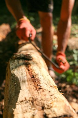 Bir marangozun elleri dikili ahşap, el aletleri torna, güzel güçlü erkek elleri, güneşli bir günde eski meşe kütüğünü işliyor.