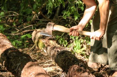 Endüstriyel balta tutan adam. Balta elinde. Güçlü bir adam elinde testereler ve yakacak odunların arka planına karşı bir balta tutar. Elinde balta olan güçlü bir oduncu. Elektrikli testereyi kapat..