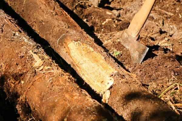 Man holding an industrial ax. Ax in hand. A strong man holds an ax in his hands against the background of chainsaws and firewood. Strong man lumberjack with an ax in his hand. Chainsaw close up.