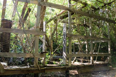 Erkekler birlikte çalışır, güneşli bir günde ormandaki çalılıklarda eski kereste iskelesini sökerler.