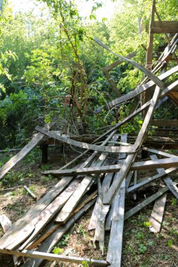 Erkekler birlikte çalışır, güneşli bir günde ormandaki çalılıklarda eski kereste iskelesini sökerler.