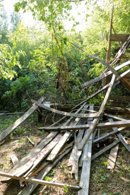 Erkekler birlikte çalışır, güneşli bir günde ormandaki çalılıklarda eski kereste iskelesini sökerler.